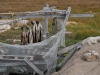 Ilulissat-2202.jpg