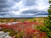 Canada_T10-7590