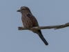 Namibia-10
