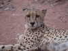 Namibia-13