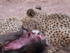 Namibia-14