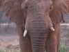 Namibia-18