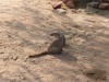 Namibia-20