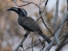 Namibia-26