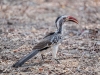Namibia-30