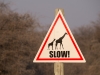 Namibia-32