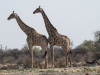 Namibia-33