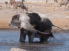 Namibia-35