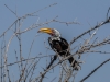 Namibia-37