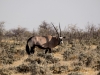 Namibia-38