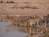 Namibia-40