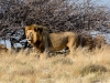 Namibia-42