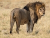 Namibia-44