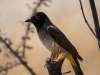 Namibia-45