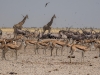 Namibia-46