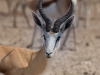 Namibia-47