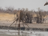 Namibia-48