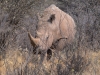 Namibia-7
