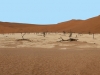 Namibia-77