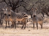 Namibia-8
