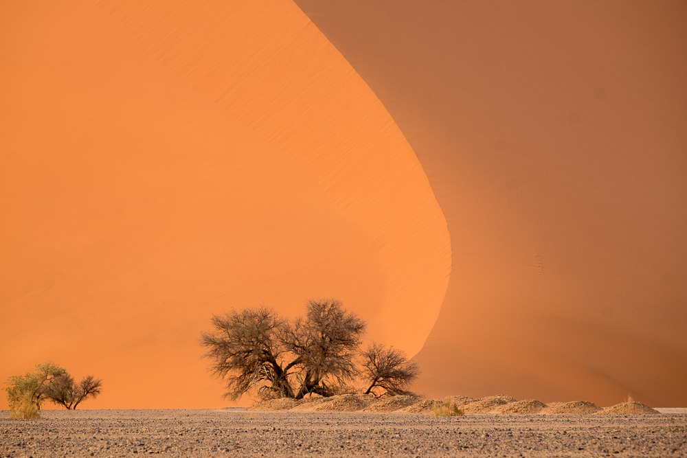 Namibia-72