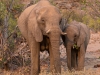 Namibia-102