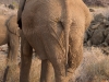 Namibia-54