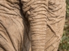 Namibia-55