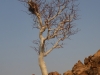 Namibia-58