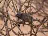 Namibia-64