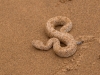Namibia-66