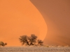 Namibia-72