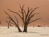 Namibia-76