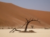 Namibia-83
