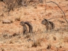 Namibia-86
