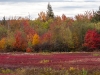 Canada_T20-1866