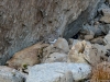 Sisimiut-1608.jpg