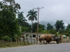 Cuba_Lumix-1000141